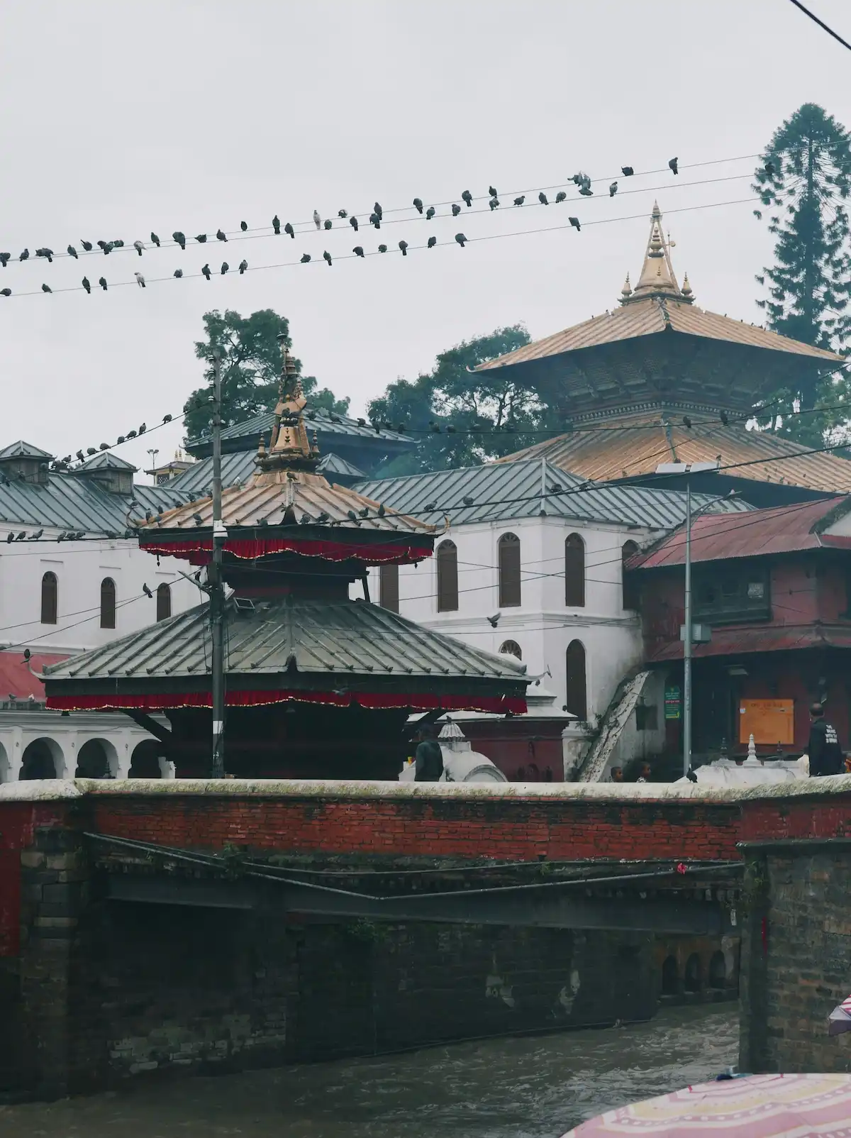 Pashupatinath Temple Kathmandu